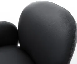 FreischwingerNube-Flex mit Armlehnen Echt-Leder Schwarz Freischwinger flach Effektfinish Titan Taschenfederkern Sofort versandfertig